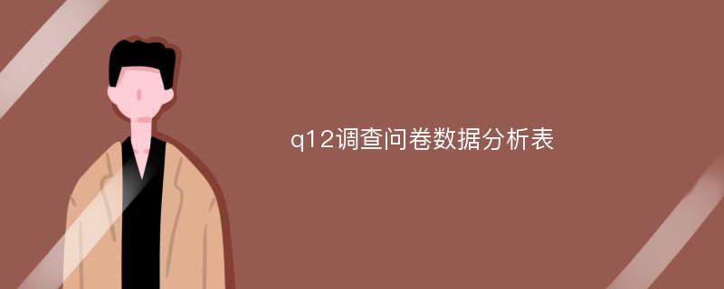 q12调查问卷数据分析表